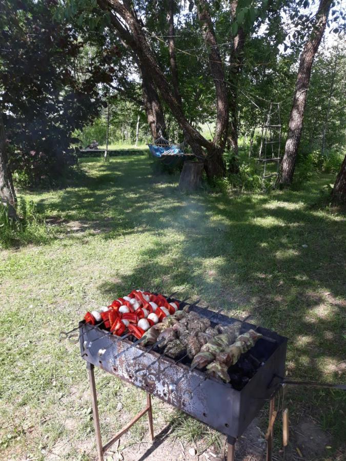 Vila Akmeninis Bebras Zemaiteliai Exteriér fotografie